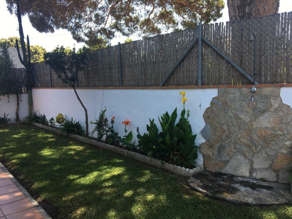 Villa Gallardo - Cerca Playa Y Pueblo - Solo Parejas O Familias Conil De La Frontera Zewnętrze zdjęcie